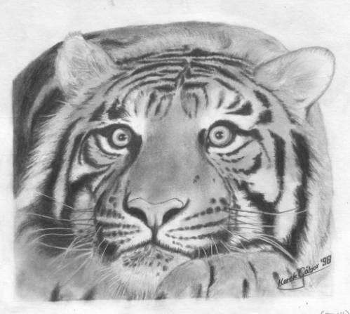 Pz.VI. Tiger